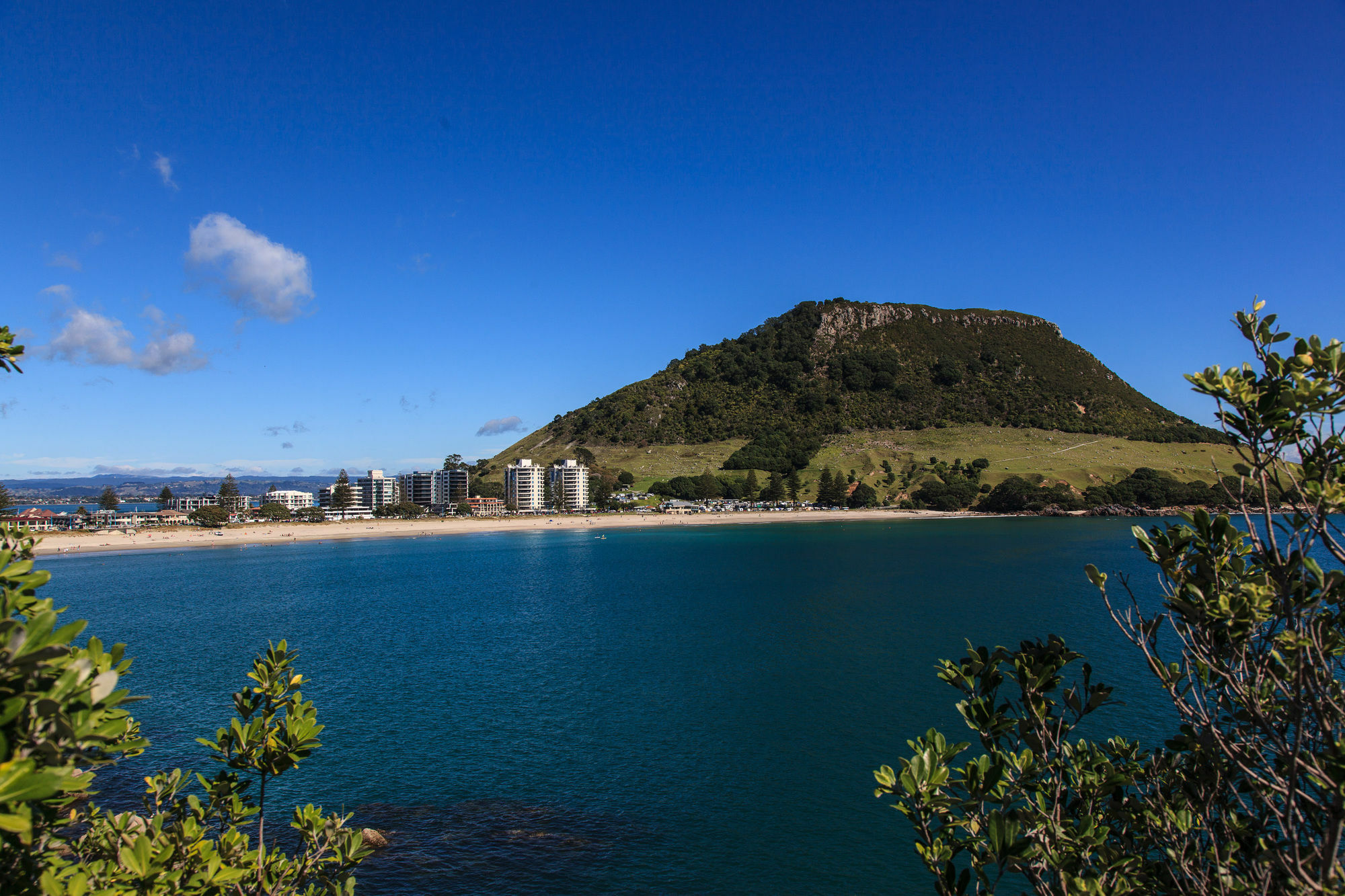 Seascape Villa B&B Tauranga Exterior foto